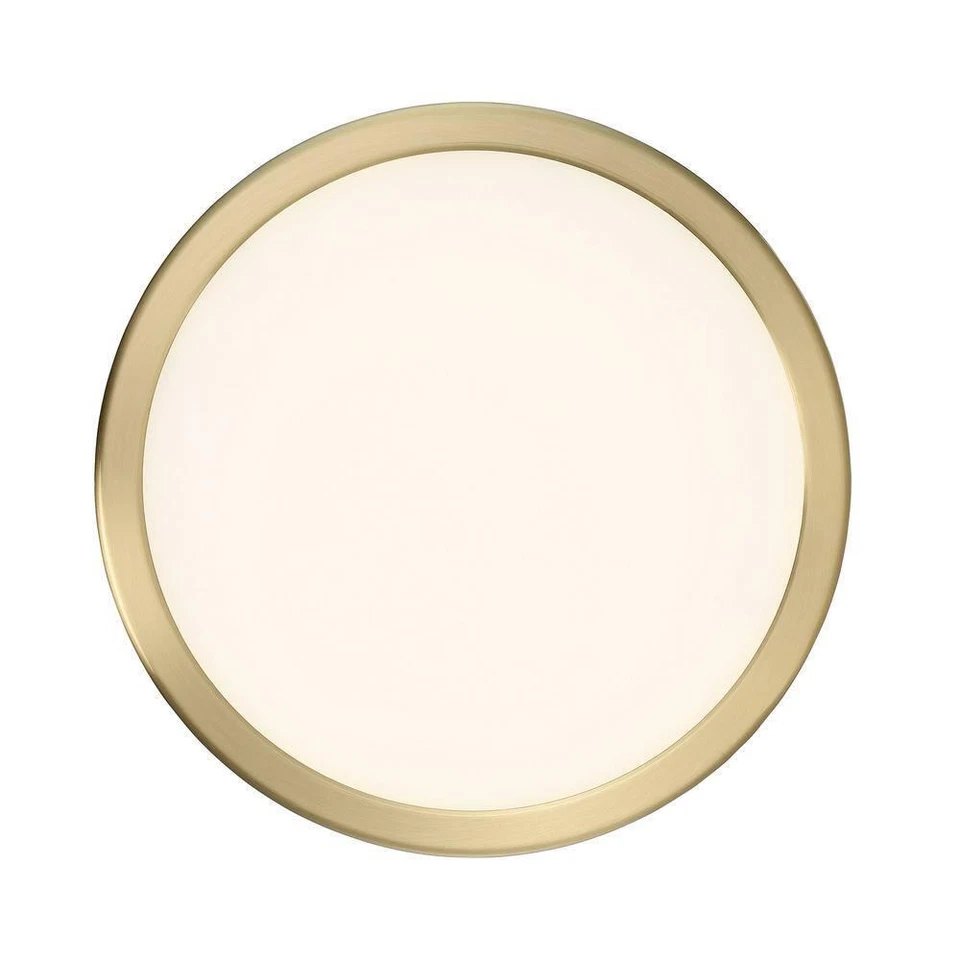 Luz LED de montaje empotrado de iluminación WAC 10" pendiente aluminio 3000K latón blanco suave Foto 3 de 4