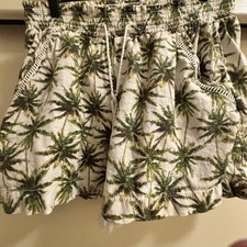 Briggs New York Womens Linen Blend Pull-on Summer Shorts Size M 50 C833