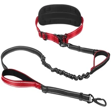 6-8ft Heavy Duty Hands Free Dog Leash, Reflective Nylon Bungee, Waist Belt