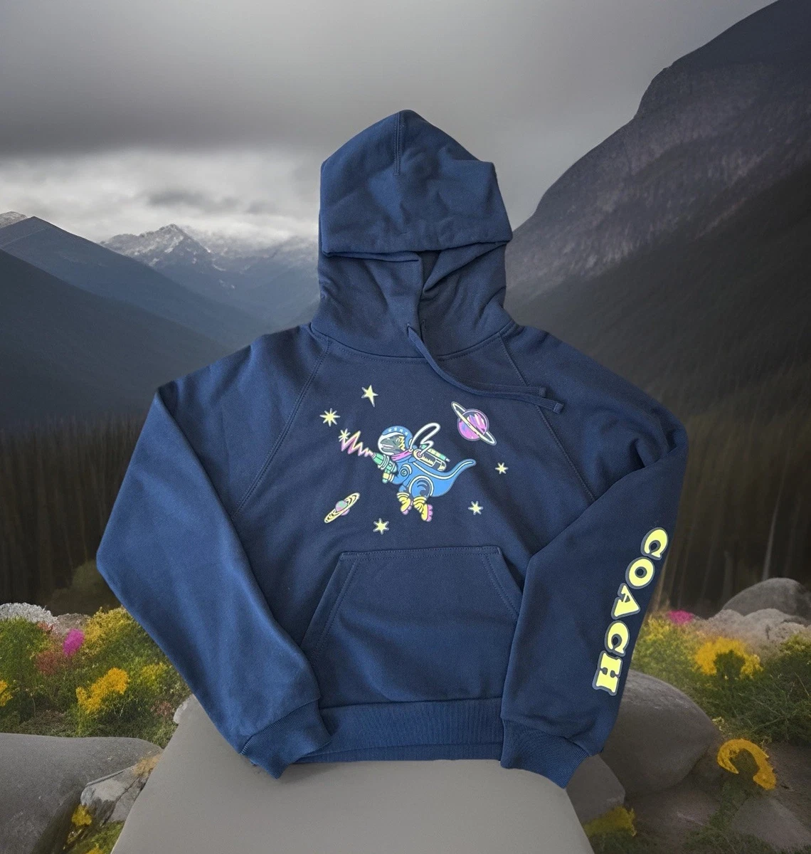 Coach Hoodies & Sweatshirts for Women for sale - eBay
