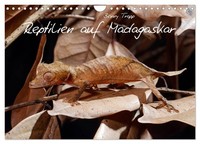 "Calendar 2027 · US Version · Reptiles In Madagascar (Wall Calendar 2027 12\" × 8\""