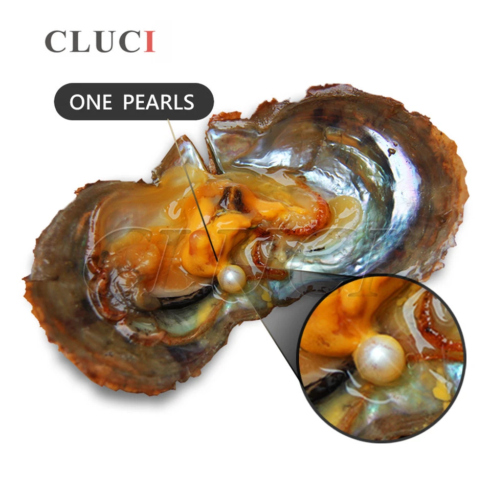 CLUCI 20pcs Seawater Oyster Pearls 7-8mm Pearl Oyster Shell mixed color Natural - Image 3 of 4