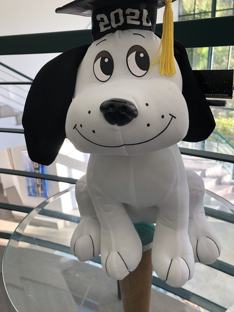 graduation autograph dog
