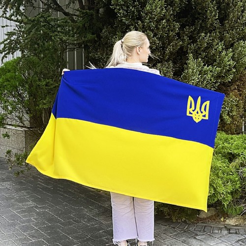 Ukrainian Flag with Embroidered Trident \ Collectiable Ukraine Flag - Picture 5 of 10