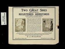 1927 Sullivan Great Sires Hereford Cattle Denver CO Vintage Print Ad 17452