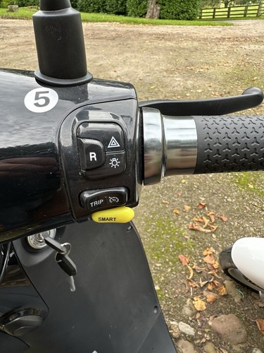 Electric Scooters business opportunity - Picture 11 of 13