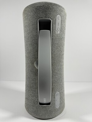 Sony SRS-XG300/H X-Series Wireless Portable-Bluetooth Party