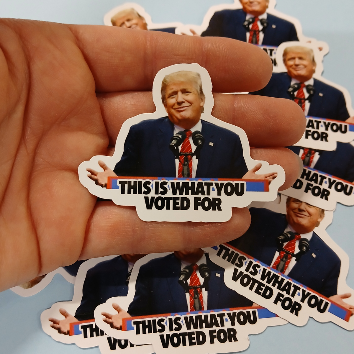 Trump Sticker -"This is What You Voted For" Anti-Trump Political Meme - 12  pack | eBay