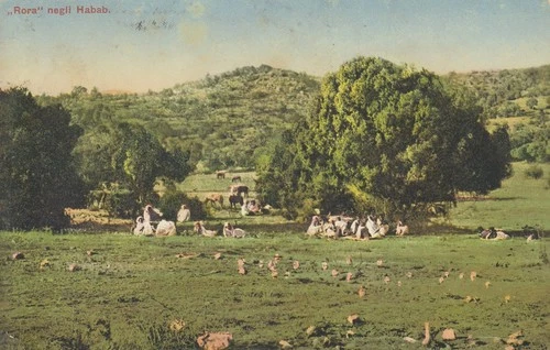 70-5E) ERITREA RORA HABAB STAMP COLONY TRAVELLED BERGAMO