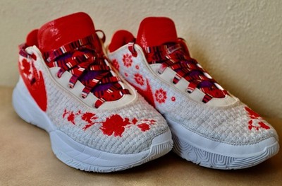 Size 8.5 - Mimi Plange x Nike LeBron 20 Premium EP Ceremony Box/Laces Wm's 10