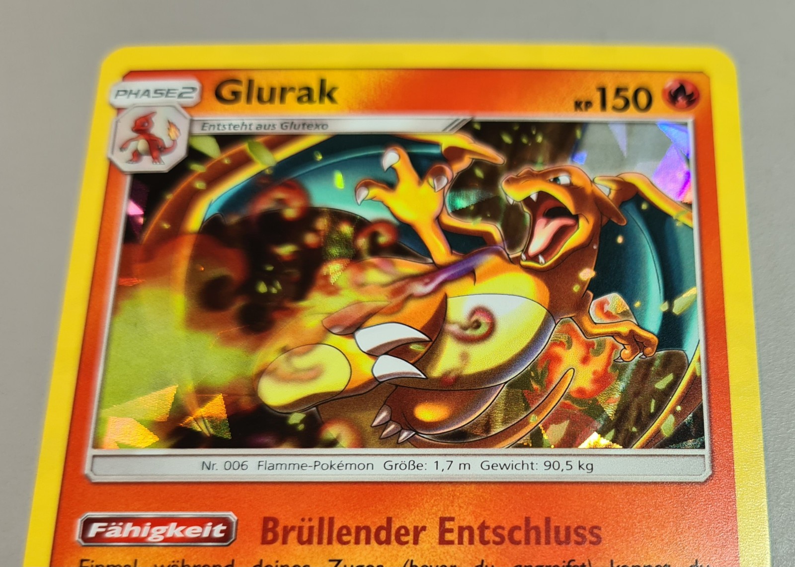 Bild 9 von 13