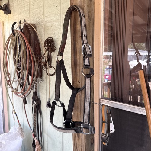 Used Nylon Horse Halter Leather Lined Crown Used Tack Black And Gray Halter