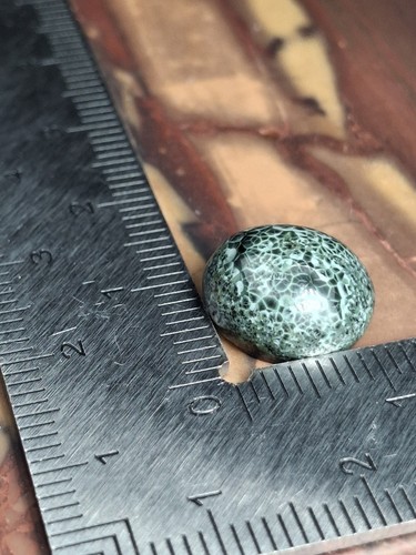 1.6g Isle Royale Greenstone Chlorastrolite Cab Cabochon Michigan Chatoyant Round - Picture 7 of 10