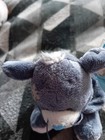 Foto 10 di 12