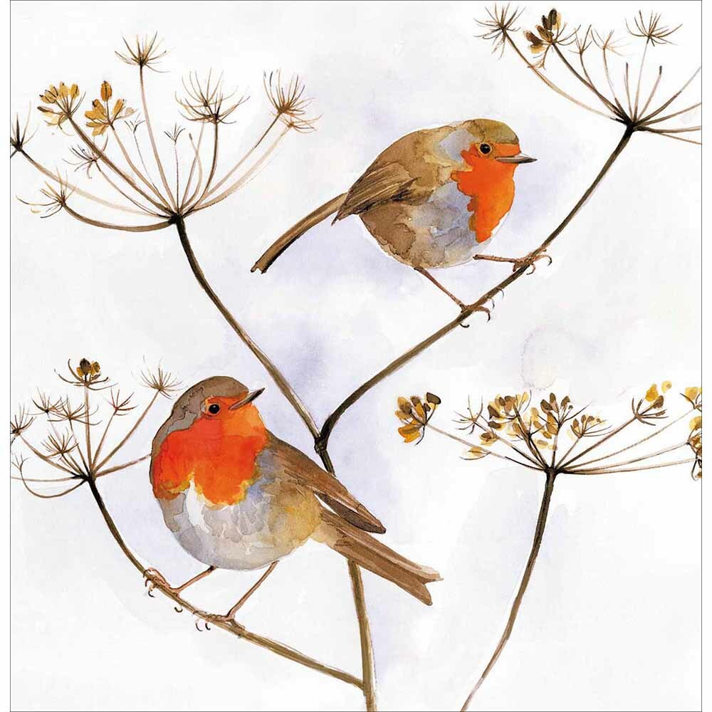Traditional 2 Robins on Branches Christmas Card – Xmas Illustrated Greeting Card