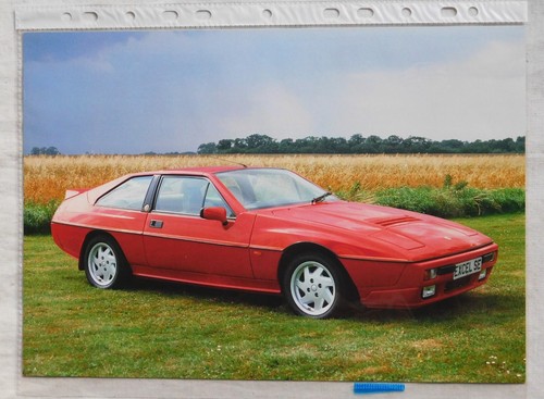LOTUS EXCEL SE - Single sided A4 photograph ONLY - No technical details