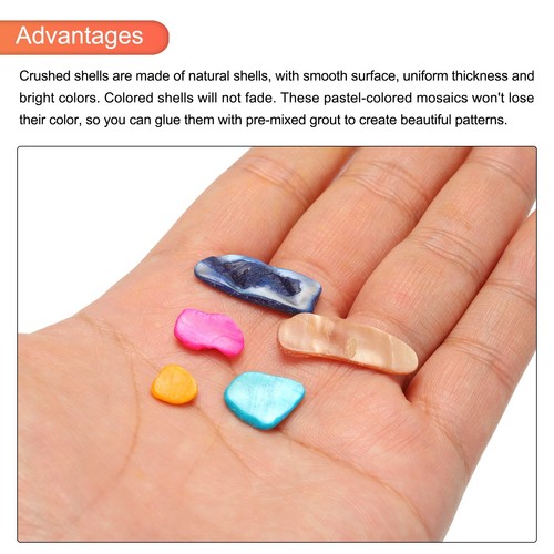 1000g Crushed Shells Irregular Natural Mosaic Sea Shell Fragments Multicolor - Picture 4 of 5