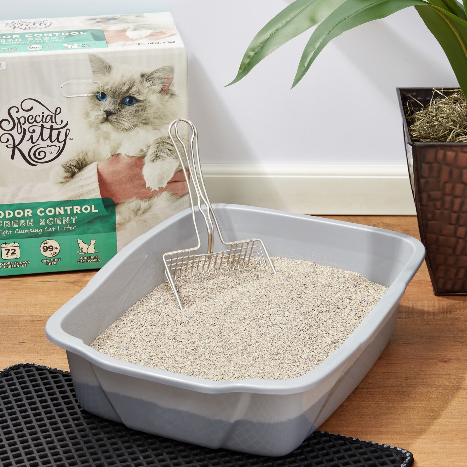 3 PACKS Special Kitty Odor Control Tight Clumping Cat Litter, Fresh Scent, 40 lb