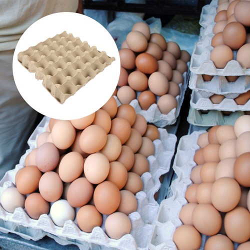 5pcs Egg Carton Empty Egg Tray Chicken Egg Holder 30-Count Egg Containers Egg