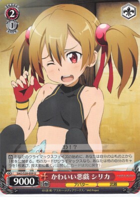 Sword Art Online Trading Card Weiss Schwarz SAO/S20-059 U Silica / Pina