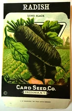 Vintage Seed Packet Black Radish Card Seed Co. Fredonia, NY NOS A3