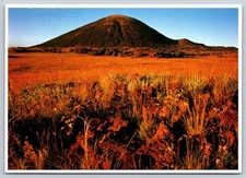 Postcard New Mexico Capulin Volcano National Monument Sunlight 1999