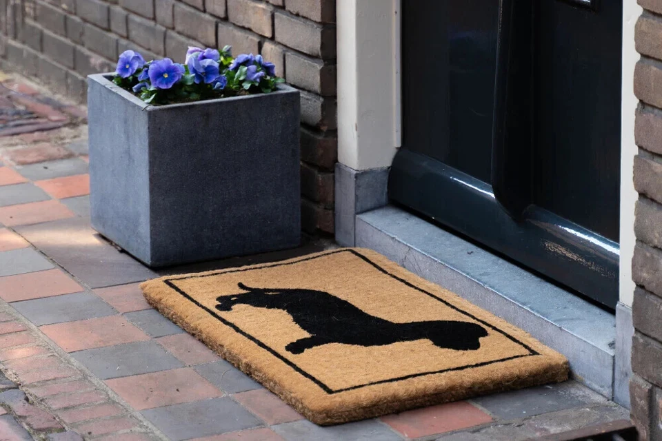 Fußmatte 75x45cm Rauhhaardackel Mars&More, Türmatte Kokos, Fußabtreter Dackel - Bild 2 von 4