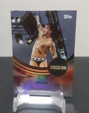 2025 WWE Universe CM Punk Variation