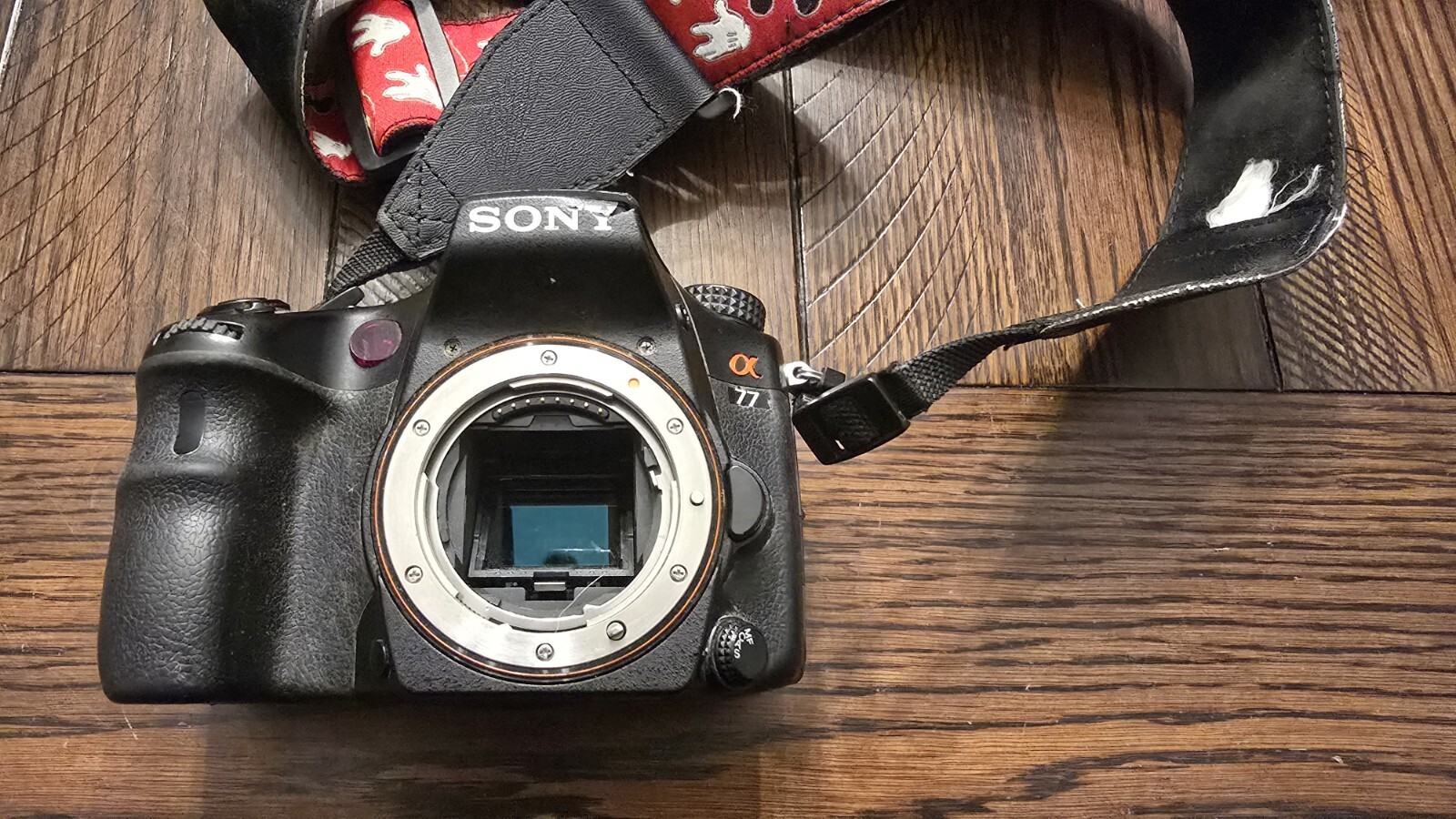 Ebay Item For Sale