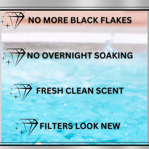 Black Diamond Stoneworks Ultimate Spa Filter Cleaner Fast-Acting 1-Quart - Picture 4 of 9