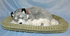 Perfect Petzzz Sleepy Husky 2022