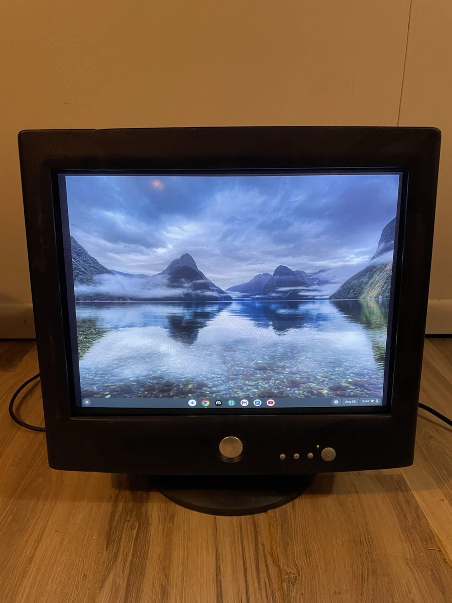 Dell CRT Monitors for sale | eBay