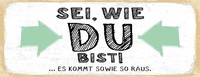 Blechschild 10X27 Cm Sei, Wie Du Bist. Es Kommt Sowie So Raus Deko Geschenk Sch