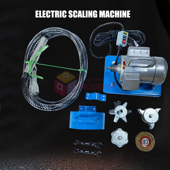 Descaling machine 2025