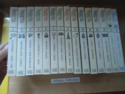 Los 15 Bücher Sherlock Lupin & Moi Albin Michel Jeunesse Irene Adler Roman Buch