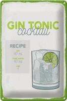 Blechschild Rezept Gin Tonic Cocktail Recipe 20X30 Cm Deko Schild Tin Sign