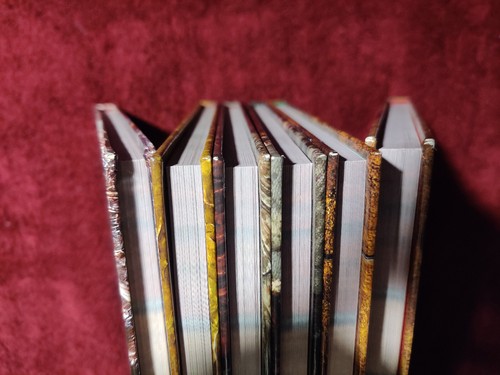 Juego Completo Manual D&D Monster Vol 1 2 3 4 5 & Fiend Folio Dungeons Dragons 3.5 - Imagen 17 de 24