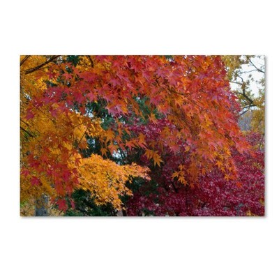 ''Autumn Explosion'' Artwork by Kurt Shaffer, 22 by 32-Inch