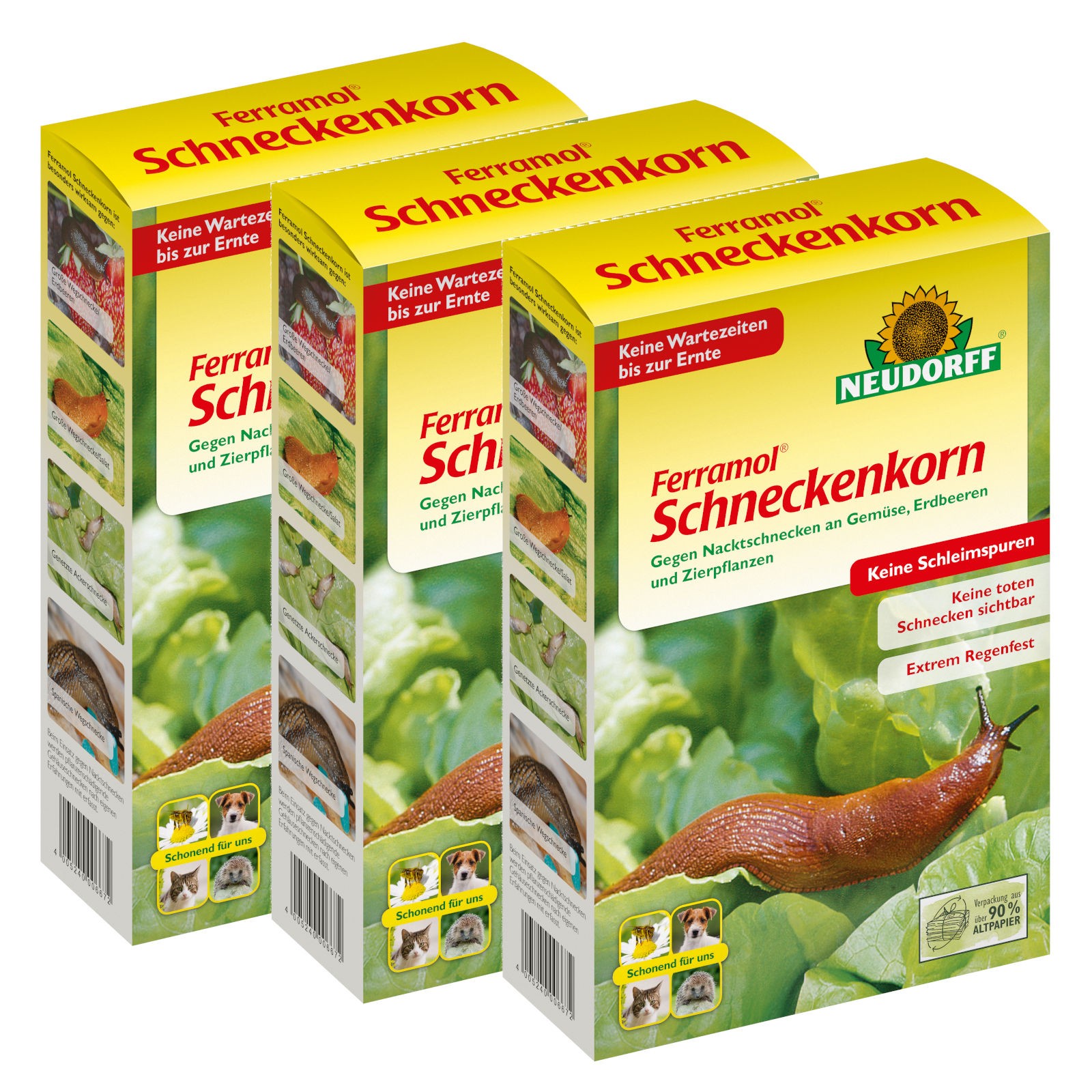 Bild 1 von 5