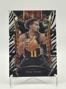 Basketball Zebra | eBay