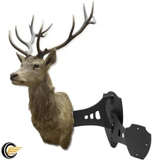 Trophy Skull Hooker Bracket Game Dual Shoulder Mount Black w/8-inch Swing Arm