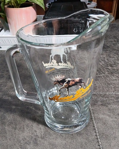 Elch Drool Brown Ale Bier Glas Krug BIG SKY BREWING CO. Missoula Montana