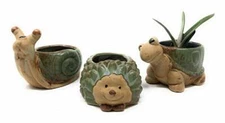 Cute Animal Succulent Planter Pots 3 Pack Turtle Snail Hedgehog Pot