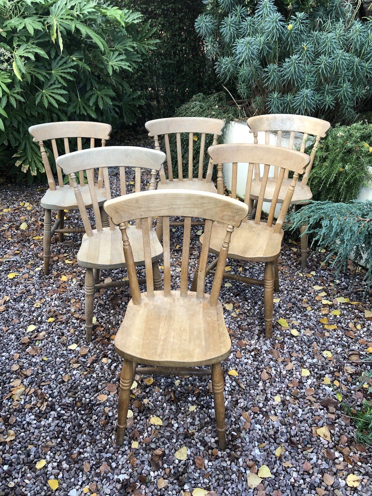 6 Solid pine spindle back kitchen country style dining Kitchen chairs