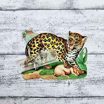 um 1900 Leopard Schwein Raubkatze Victorian Glanzbild Prägedruck Luxuspapier alt