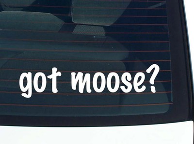 got moose? CAR DECAL BUMPER STICKER VINYL FUNNY JOKE WINDOW