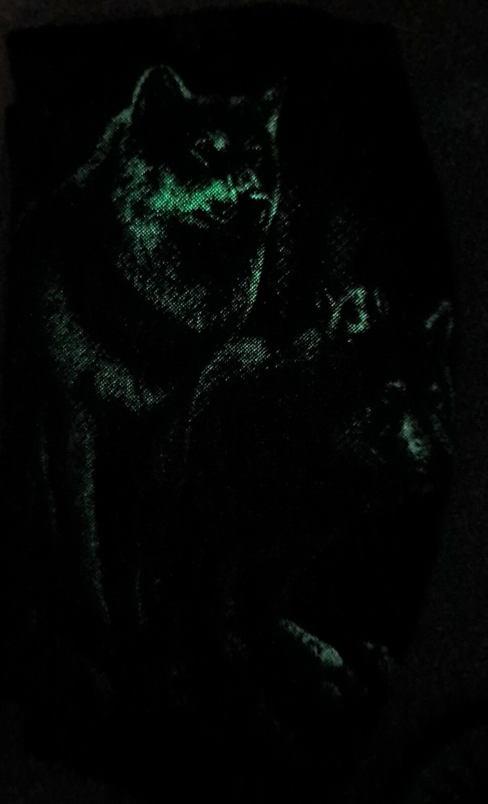 Bild 2 von 6