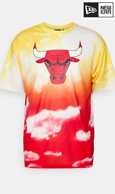 Chicago Bulls Shirt | New Era  | Neu | Sky Print Tee T-Shirt | NBA | Basketball