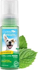 Fresh Breath Dental Foam Spray for Dogs & Cats | Quick Breath Freshener and Teet