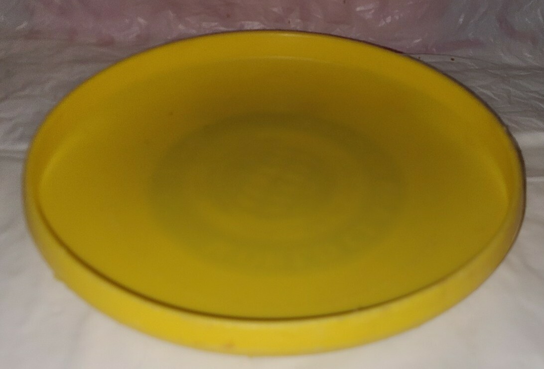 Vtg 1975 World Class Frisbee 119G Yellow Van Sickle World Champion